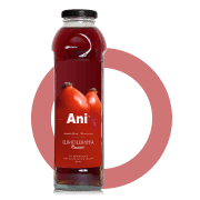 Напій Шипшина